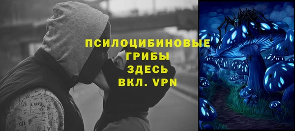 индика Богородск