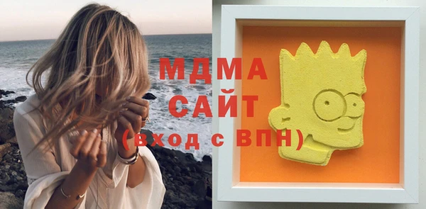 индика Богородск