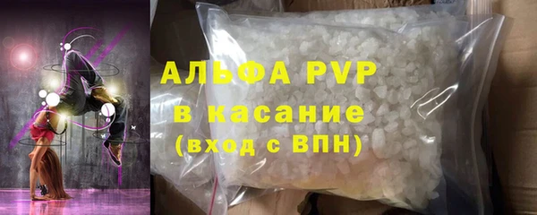 индика Богородск