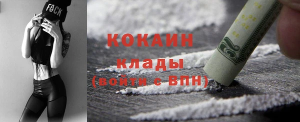 индика Богородск