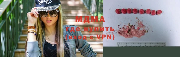 индика Богородск