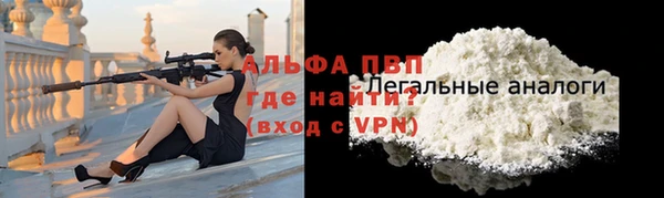 индика Богородск