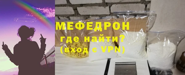 индика Богородск