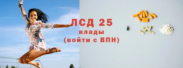 индика Богородск