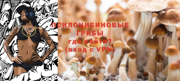 индика Богородск