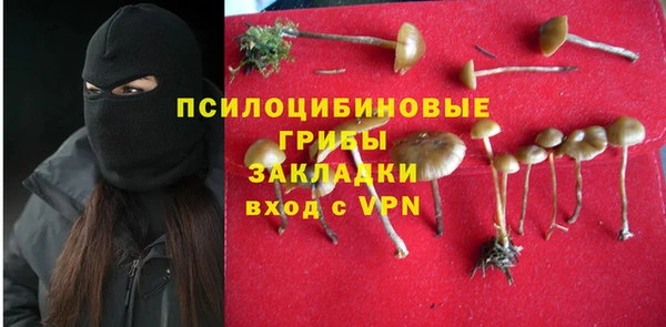 первитин Богданович