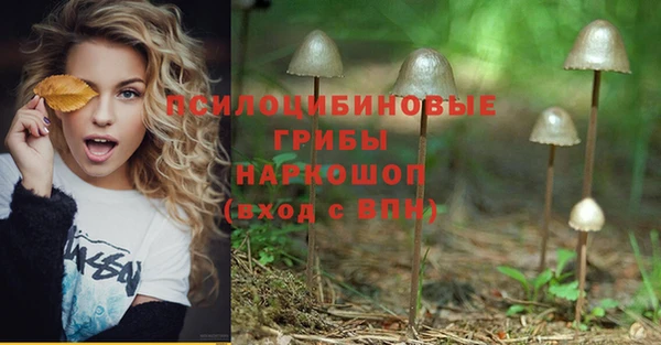 первитин Богданович