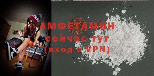 индика Богородск