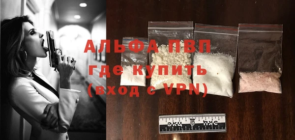 первитин Богданович